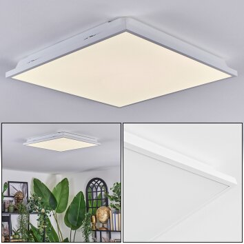 Raimea ceiling light, Panel LED white, 1-light source