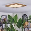 Raimea ceiling light, Panel LED Ecru, white, 1-light source