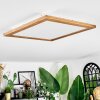 Raimea ceiling light, Panel LED Ecru, white, 1-light source