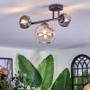 Chehalis ceiling light, globe light Amber, clear, Smoke-coloured, 3-light sources