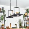 Genor hanging light, pendant light LED black, white, 1-light source, Remote control