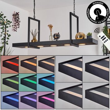 Genor hanging light, pendant light LED black, white, 1-light source, Remote control