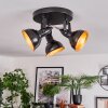 Toren ceiling light, ceiling spotlight chrome, black, 3-light sources