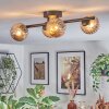 Chehalis ceiling light, globe light Amber, 4-light sources