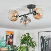 Ripoll ceiling light, globe light Amber, clear, Smoke-coloured, 3-light sources