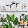 Koyoto ceiling light, globe light Amber, clear, Smoke-coloured, 4-light sources