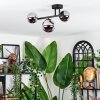 Chehalis ceiling light, globe light chrome, Smoke-coloured, 3-light sources