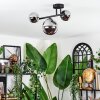 Chehalis ceiling light, globe light chrome, Smoke-coloured, 3-light sources