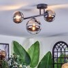 Chehalis ceiling light, globe light chrome, clear, Smoke-coloured, 3-light sources