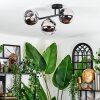 Chehalis ceiling light, globe light chrome, clear, Smoke-coloured, 3-light sources
