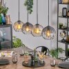 Koyoto hanging light, globe light, pendant light Amber, clear, Smoke-coloured, 4-light sources