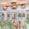 Chehalis ceiling light, globe light Amber, Smoke-coloured, 4-light sources