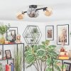 Chehalis ceiling light, globe light Amber, Smoke-coloured, 4-light sources