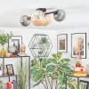 Chehalis ceiling light, globe light Amber, Smoke-coloured, 4-light sources