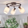 Fallhagen ceiling light, ceiling spotlight black, 3-light sources