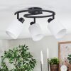 Fallhagen ceiling light, ceiling spotlight black, 3-light sources