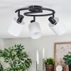 Fallhagen ceiling light, ceiling spotlight black, 3-light sources