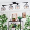 Koyoto ceiling light, globe light clear, Smoke-coloured, 4-light sources