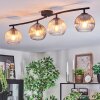 Koyoto ceiling light, globe light Amber, clear, Smoke-coloured, 4-light sources