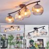Koyoto ceiling light, globe light Amber, clear, Smoke-coloured, 4-light sources