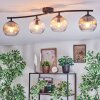 Koyoto ceiling light, globe light Amber, clear, Smoke-coloured, 4-light sources