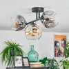 Ripoll ceiling light, globe light Amber, clear, Smoke-coloured, 3-light sources