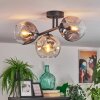 Ripoll ceiling light, globe light Amber, clear, Smoke-coloured, 3-light sources