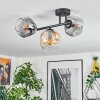 Ripoll ceiling light, globe light Amber, clear, Smoke-coloured, 3-light sources