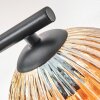 Ripoll ceiling light, globe light Amber, clear, Smoke-coloured, 3-light sources