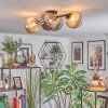Chehalis ceiling light, globe light Amber, Smoke-coloured, 4-light sources