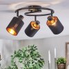 Fallhagen ceiling light, ceiling spotlight black, 3-light sources