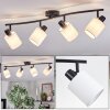 Fallhagen ceiling light, ceiling spotlight black, 4-light sources