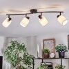 Fallhagen ceiling light, ceiling spotlight black, 4-light sources