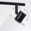 Fallhagen ceiling light, ceiling spotlight black, 4-light sources