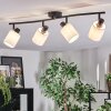 Fallhagen ceiling light, ceiling spotlight black, 4-light sources