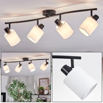Fallhagen ceiling light, ceiling spotlight black, 4-light sources