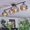 Ripoll ceiling light, globe light chrome, clear, Smoke-coloured, 4-light sources