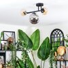Chehalis ceiling light, globe light Amber, Smoke-coloured, 3-light sources