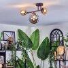 Chehalis ceiling light, globe light Amber, Smoke-coloured, 3-light sources