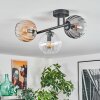Koyoto ceiling light, globe light Amber, clear, Smoke-coloured, 3-light sources