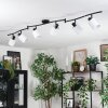 Fallhagen ceiling light, ceiling spotlight black, 6-light sources