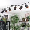 Fallhagen ceiling light, ceiling spotlight black, 6-light sources