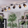 Fallhagen ceiling light, ceiling spotlight black, 6-light sources