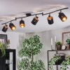 Fallhagen ceiling light, ceiling spotlight black, 6-light sources