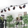 Fallhagen ceiling light, ceiling spotlight black, 6-light sources