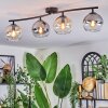 Koyoto ceiling light, globe light Amber, clear, Smoke-coloured, 4-light sources