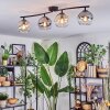 Koyoto ceiling light, globe light Amber, clear, Smoke-coloured, 4-light sources