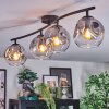 Ripoll ceiling light, globe light clear, Smoke-coloured, 4-light sources