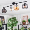 Koyoto ceiling light, globe light Amber, clear, Smoke-coloured, 4-light sources