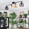 Koyoto ceiling light, globe light Amber, clear, Smoke-coloured, 4-light sources